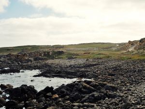 Cape Wickham 11th Bay